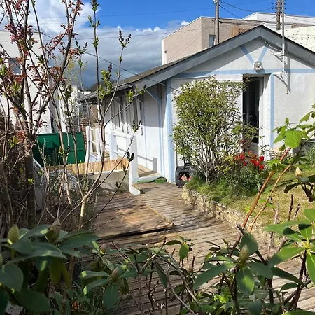 Lalyne- Maison De Charme Et Son Studio Trouville Sur Mer Exterior photo